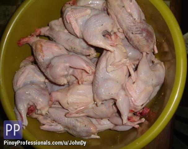 quail meat for sale for natural pet food high in protein quail meat for sale for natural pet food high in protein