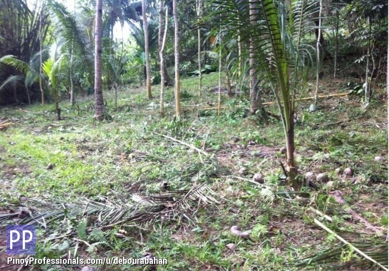 Residential lot for sale PARADISE HILL Binaliw Cebu City