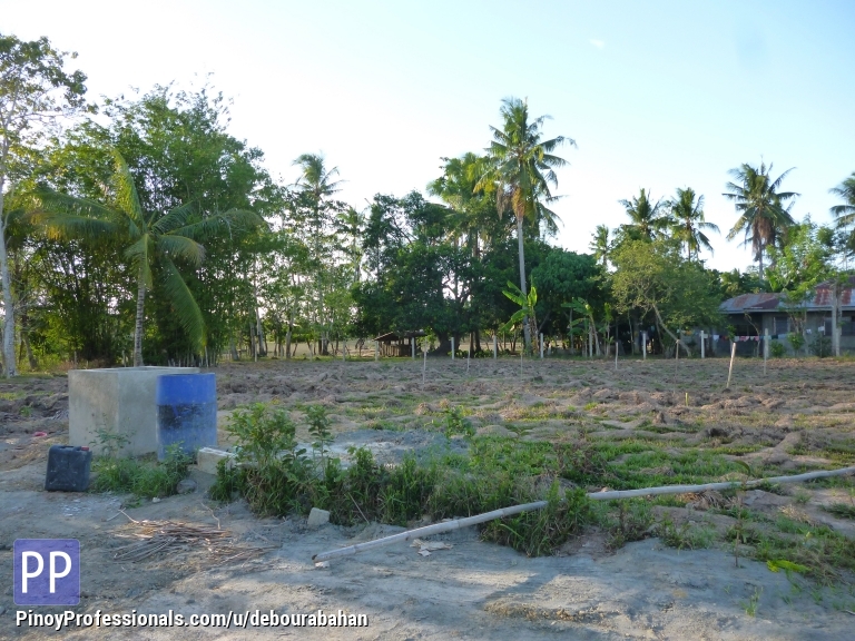 40,590 sq.m. Agricultural Land for sale at Tubog, Ubay Bohol