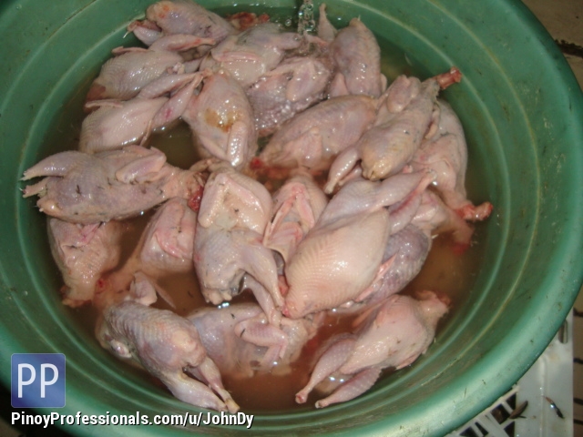 Everything Else - QUAIL MEAT FOR SALE FOR NATURAL PET-FOOD HIGH IN PROTEIN