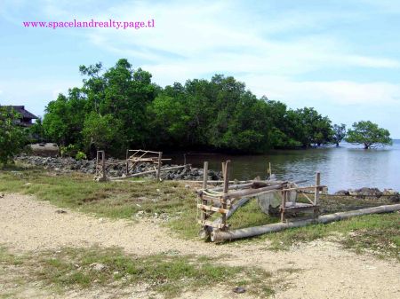 Vacation and Island Properties - 34.5ha Waterfront Agro-Industrial Property (FOR SALE), Argao, Cebu