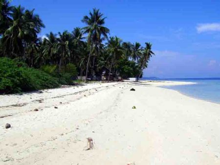 Vacation and Island Properties - 3.8ha. Beachlot with Whitesands - FOR SALE, Badian, Cebu