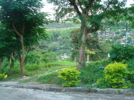 Vacation and Island Properties - ' 300sqm Cebu City lot 4sale: Gardenville Subd, Busay