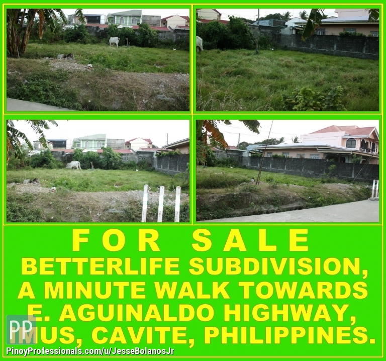 Vacant Lot In Imus, Cavite, Philippines FOR SALE Real Estate / Land