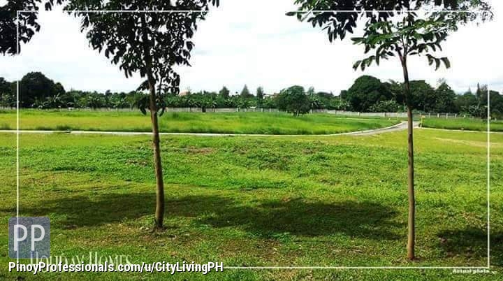 Land for Sale - MAIN ROAD LOT for sale in Cavite near Tagaytay