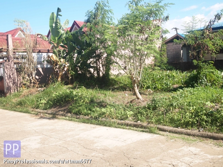 278 SQM CORNER LOT AT VILLA CORITO SUBDIVISION, SURIGAO CITY Real