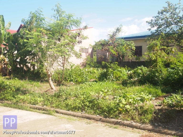278 SQM CORNER LOT AT VILLA CORITO SUBDIVISION, SURIGAO CITY Real