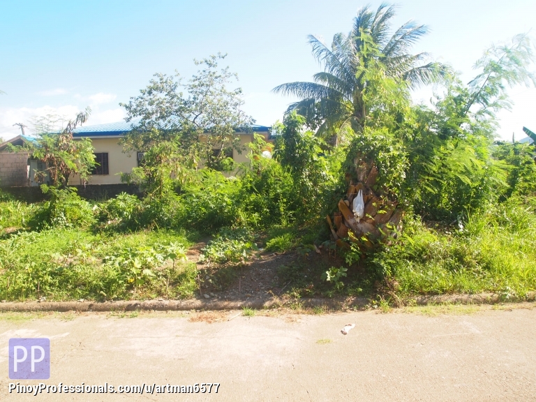278 SQM CORNER LOT AT VILLA CORITO SUBDIVISION, SURIGAO CITY Real