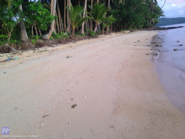 Vacation and Island Properties - FOR SALE! 2 HECTARES WHITE SAND BEACHFRONT LOT IN DAPA, SIARGAO ISLAND