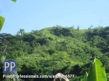 Vacation and Island Properties - FOR SALE! 5.6 HECTARES OVERLOOKING LAND IN DAGOHOY, DAPA, SIARGAO ISLAND