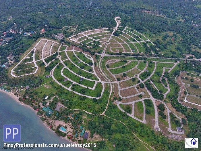 Land for Sale - Playa Laiya in San Juan Batangas Lot For sale