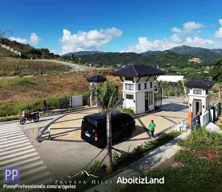 Land for Sale - lot for sale in priveya hills talamban cebu city