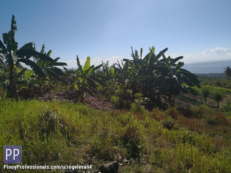 Ocean Viewing Farm Lots for Sale!!! NAGA Real Estate / Land for Sale