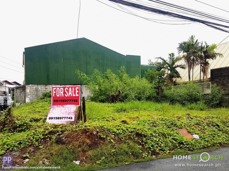 Land for Sale - 247 Sqm Residential Vacant Lot in Pilar Village