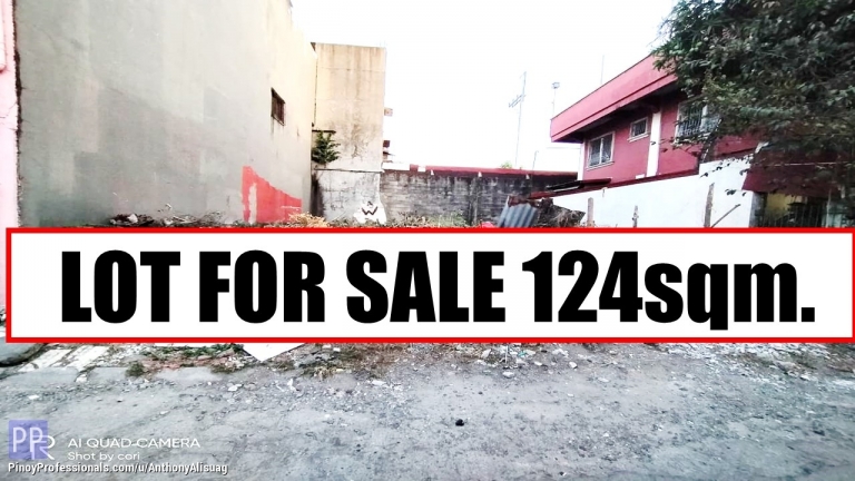 Land for Sale - ALONG MAIN ROAD RUSH !!! 124SQM. LOT FOR SALE IN VALENZUELA CITY