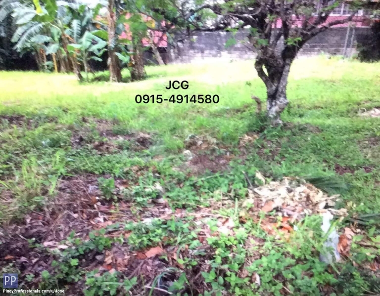 Land for Sale - VACANT LOT FOR SALE IN FILINVEST 1 BATASAN HILLS QUEZON CITY
