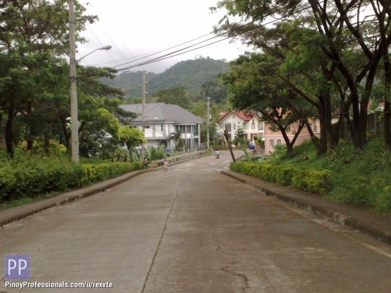 Land for Sale - METROPOLIS LOT FOR SALE LOCATED IN PIT-OS TALAMBAN CEBU CITY