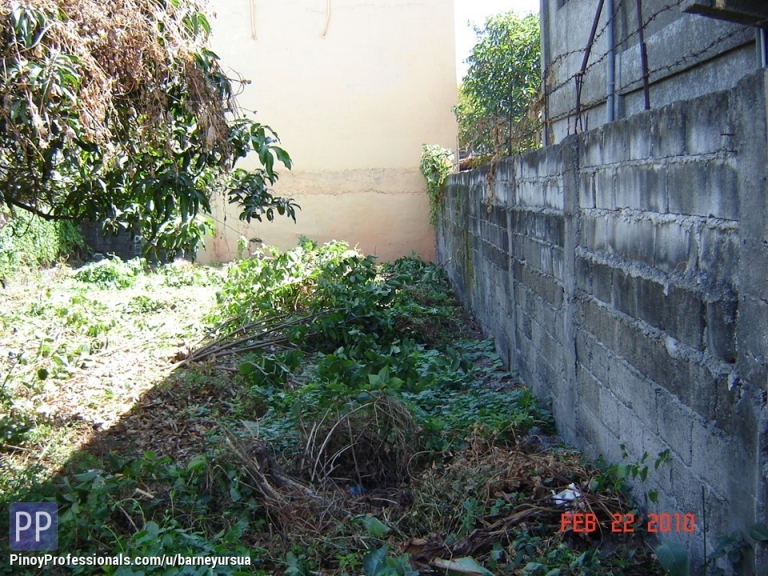 Land for Sale - 219 sqm Residential Lot for Sale in Family Village, Panapaan V, Bacoor City, Cavite