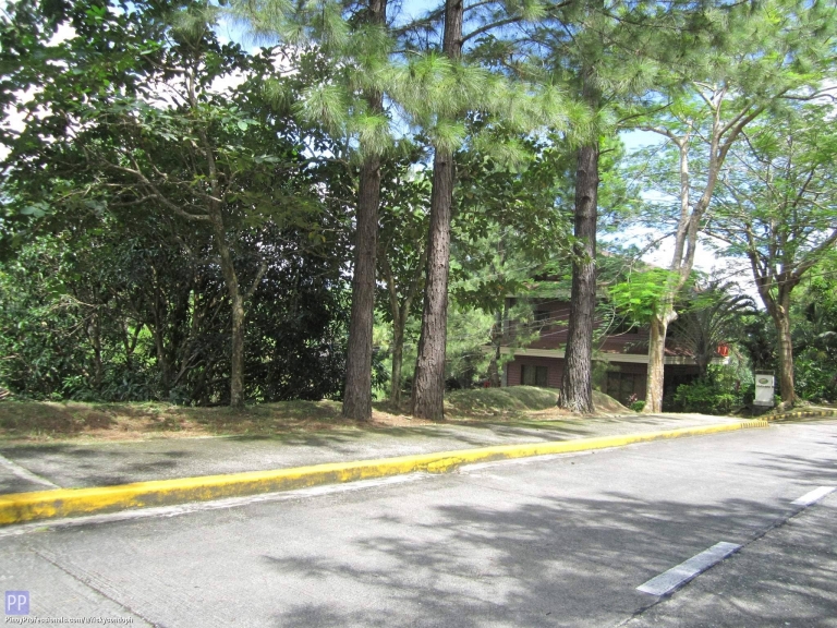 Land for Sale - Canyon Woods vacant lot for sale near Tagaytay City