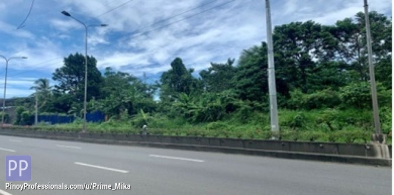 Office and Commercial Real Estate - For Rent: 1 Hectare lot along Maharlika Highway, Buhangin, Davao City