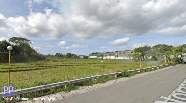 Land for Sale - 2. 8 Hectares Lot for lease in Norzagaray. Santa Maria, Bulacan.