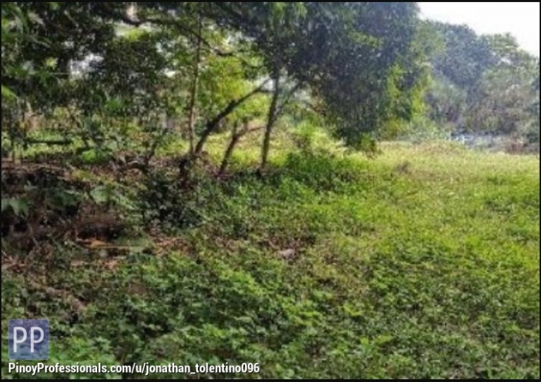 Land for Sale - Foreclosed Property for sale in Filinvest II Subdivision, Brgy. Bagong Silangan, Quezon City