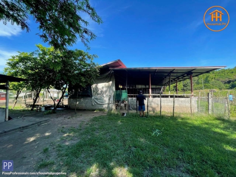 Land for Sale - SELLING BEACHLOT & FARM