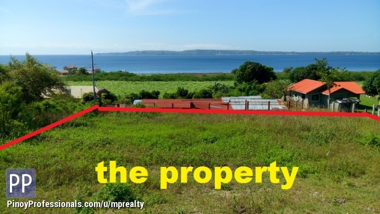 Land for Sale - Unobstructed Ocean view lot in Calatagan Batangas 4466sqm